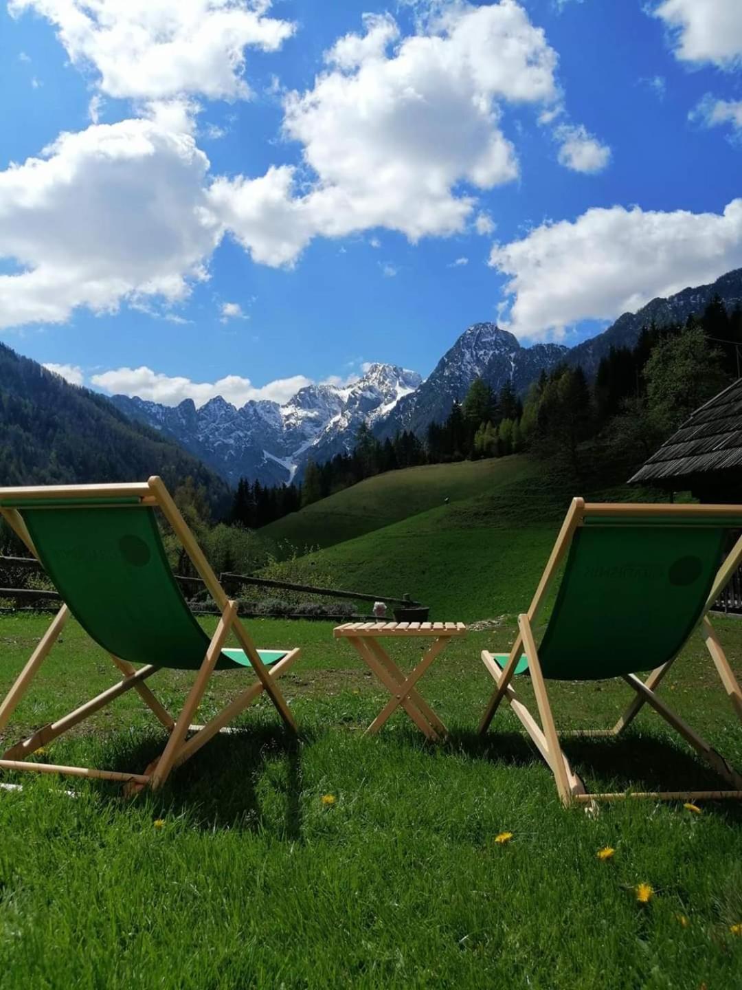 Tourist Farm Gradisnik Apartment Solcava Luaran gambar