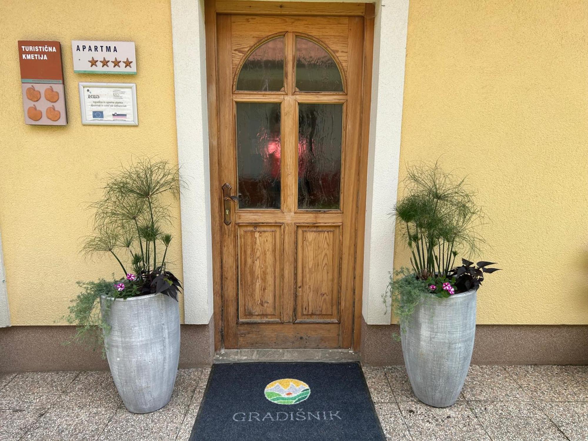 Tourist Farm Gradisnik Apartment Solcava Luaran gambar