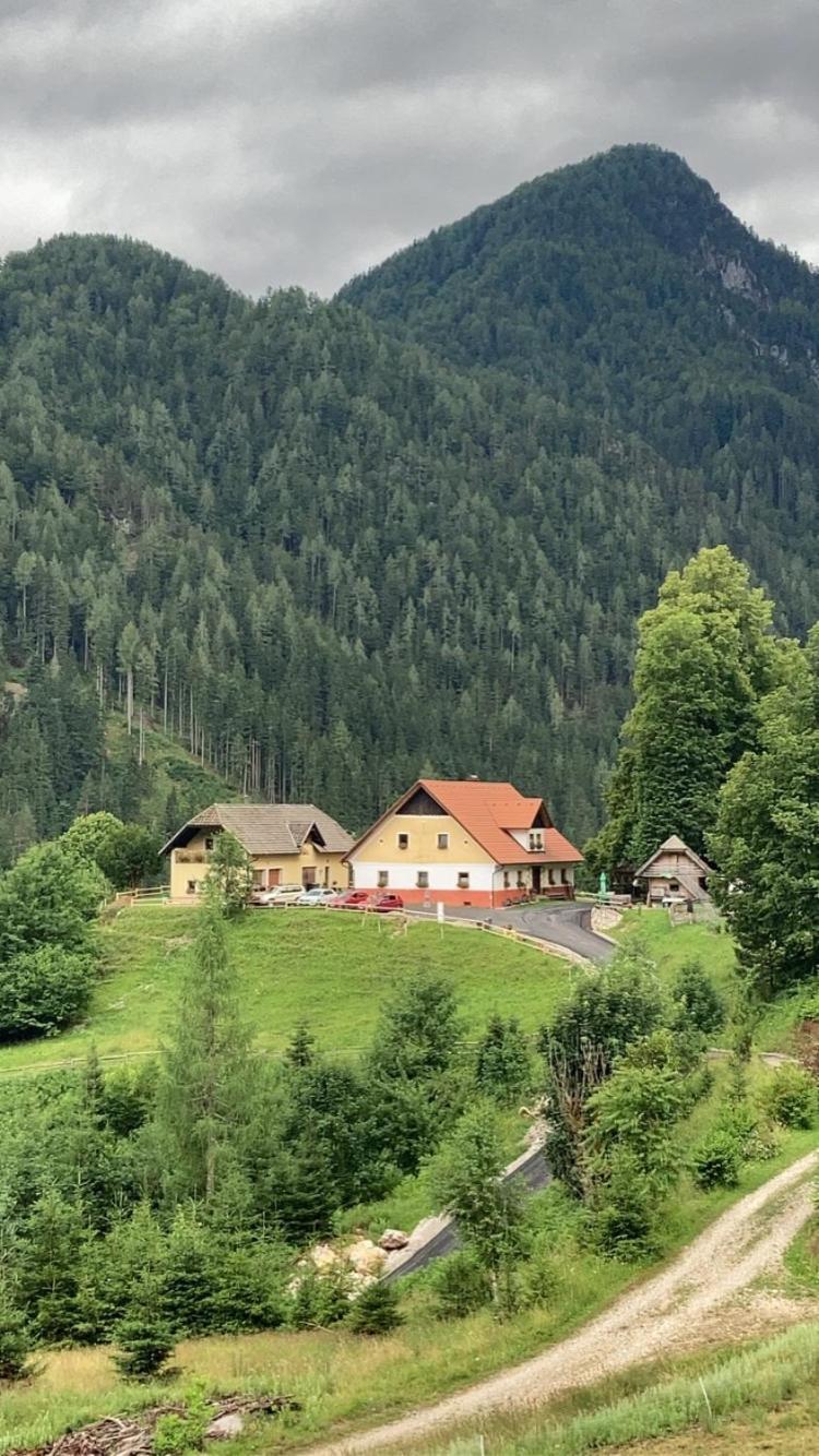 Tourist Farm Gradisnik Apartment Solcava Luaran gambar