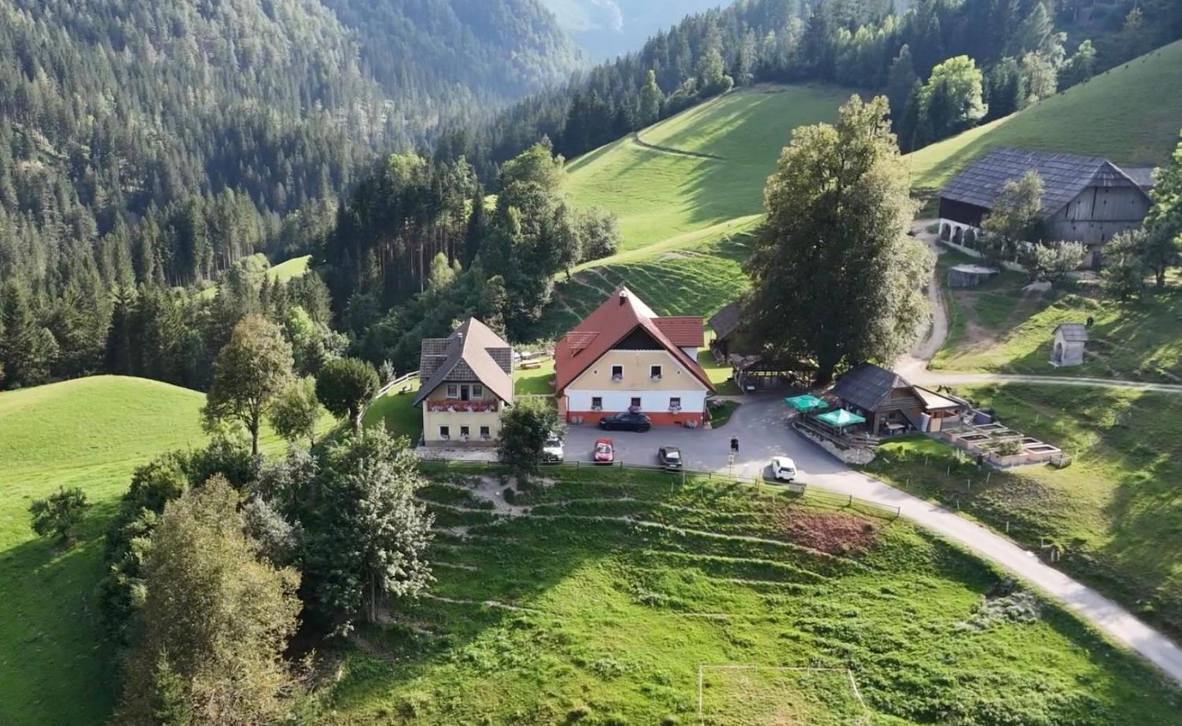 Tourist Farm Gradisnik Apartment Solcava Luaran gambar