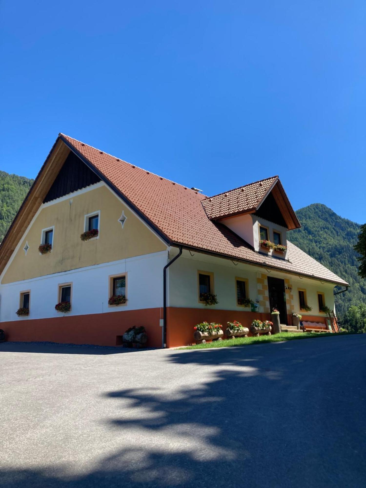 Tourist Farm Gradisnik Apartment Solcava Luaran gambar