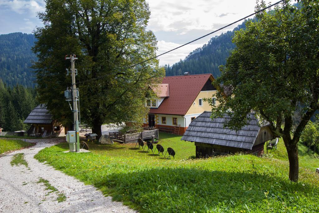 Tourist Farm Gradisnik Apartment Solcava Luaran gambar
