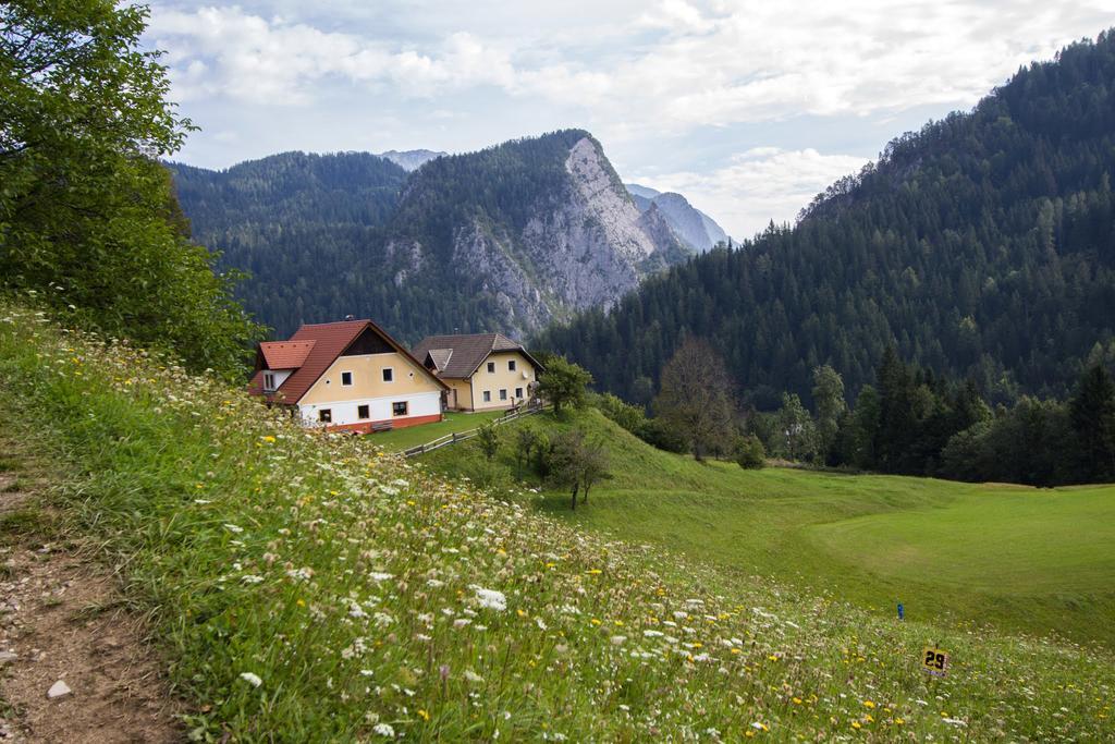Tourist Farm Gradisnik Apartment Solcava Luaran gambar