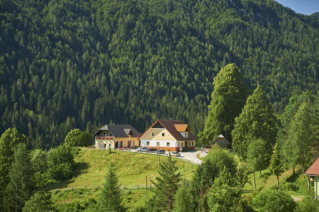 Tourist Farm Gradisnik Apartment Solcava Luaran gambar