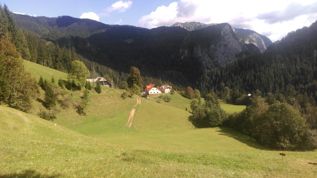 Tourist Farm Gradisnik Apartment Solcava Luaran gambar