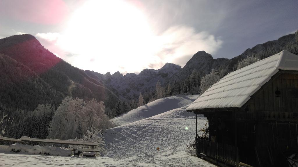 Tourist Farm Gradisnik Apartment Solcava Luaran gambar