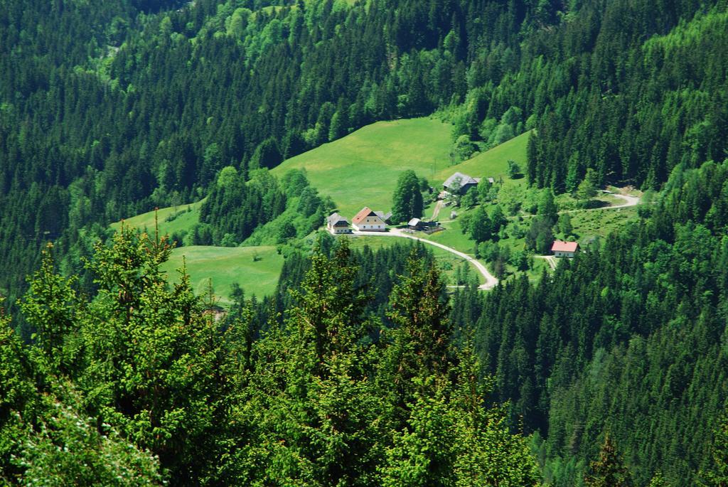 Tourist Farm Gradisnik Apartment Solcava Luaran gambar